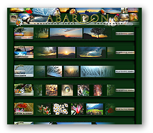 Besseres Webdesign von Seher-Design
