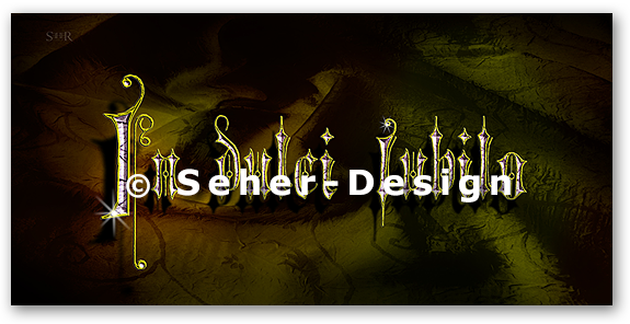 Homepage, Broschüren und Flyer von Seher-Design